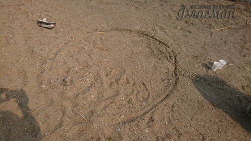 DSC_20220808102144_0222